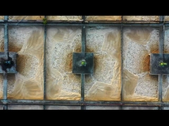 Νέα συσκευασμένη μονάδα επεξεργασίας λυμάτων για βιομηχανικά / δημοτικά / οικιακά λύματα